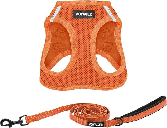 Best Pet Supplies Voyager Step-in Air All Weather Mesh Harness and Reflective Dog 5ft Leash Combo with Neoprene Handle, for Small, Medium and Large Breed Puppies - Set (Orange), X-Small
