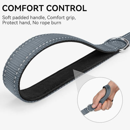 Joytale Dog Leash, 4 FT Double-Sided Reflective, Padded Handle Nylon Heavy Duty Leashes for Medium & Large Dogs Walking, Grey