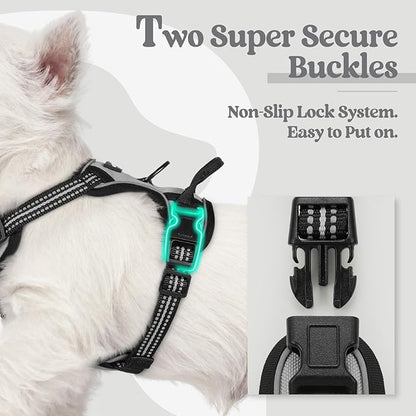 rabbitgoo Dog Harness No Pull with 2 Leash Clips, Adjustable Soft Padded, Reflective Oxford No Choke Pet Vest with Easy Control Handle for Puppy, Grey, XS