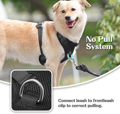 No Pull Dog Harness for Small Medium Large Dogs - Adjustable 2 Layer Mesh Dog Vest with Dual Clip, Escape Proof, Quick Release, Lightweight Breathable Mesh for Walking Hiking (Black,M)