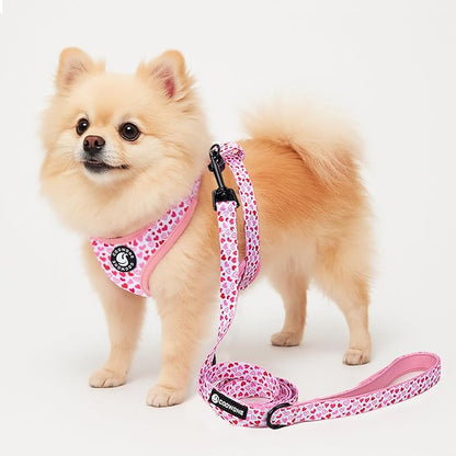 Dog Harness and Leash Set, Adjustable Dog Harness, Dog Leash, No Pull No Choke Puppy Harnesses for Walking Training for Small, Medium Pet (Little Love, S(Chest 14-19.6", Neck 10.6-13"))