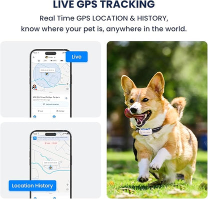 DBDD AI GPS Tracker for Dogs, Real Time Location and AI Health Care Management, Electronic Fence, Waterproof, iOS and Android Compatible (White)