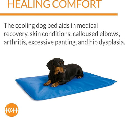 K&H Pet Products Cool Bed III Dog Cooling Mat, Indoor Outdoor Cooling Beds for Small Dogs, Chilling Pet Pad for in Home, Outdoor Houses, Crates, Yards, Porches - Small 24 X 17in Chill Blue