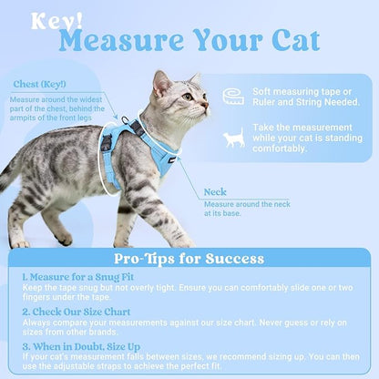 rabbitgoo Cat Harness and Leash, Escape Proof Vest with 3 Adjustable Buckles, Soft Comfortable Kitten Harness, Easy to Wear, Reflective for Safe Outdoor Walking, Small, Sky Blue