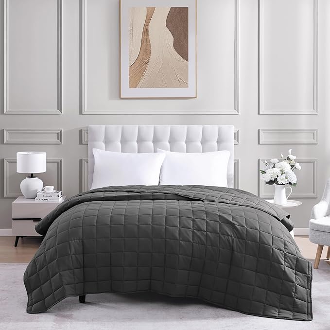 Casa Platino King Duvet Insert - Soft Blankets Lightweight King Size Bedding, Cooling Pre-Washed - Down Alternative Blanket - Charcoal