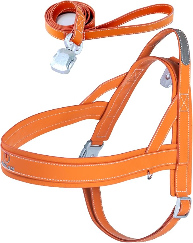 Magnetic Dog Harness and Leash Set with Quick Release Buckle, Easy On & Off Faux Leather Puppy Harness and Leash with Handle for Medium, Large Sized Dog