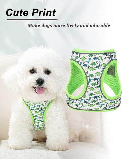 S Green Dinosaur Pattern Dog Harness and Leash Set,No Escape Puppy Harnesses for Training Walking，Breathable Adjustable Puppy Vest for Small Medium Dogs, Cats (Green, S)