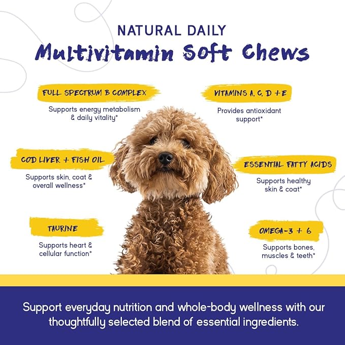 PupGrade Daily Multivitamin for Dogs – All-in-One Supplement with Omega Fish Oil, Vitamins A, C, D, E & B Complex for Everyday Health – 90 Soft Chews