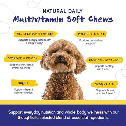 PupGrade Daily Multivitamin for Dogs – All-in-One Supplement with Omega Fish Oil, Vitamins A, C, D, E & B Complex for Everyday Health – 180 Soft Chews