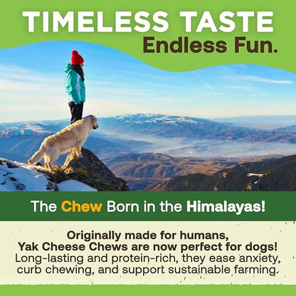 EcoKind Yak Cheese Himalayan Dog Chews, Yak Chews for Medium Dogs, Long Lasting Bone for Aggressive Chewers, 3 Ingredients, Natural High Protein Treats, No Additives, Lactose Free, Medium - 12 Chews