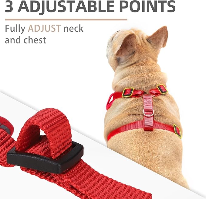 PUPTECK Small Dog Harness and Leash Set, No Pull Adjustable Puppy Cat Harness, Reflective Soft Mesh Pet Vest Small Sized, Red, XS