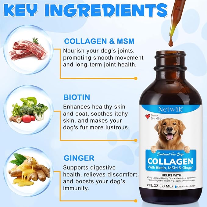 Collagen for Dogs - Skin and Coat Supplement for Dog, Dog Liquid Collagen, Collagens Supplement for Dogs - Collagens with Biotin, MSM & Ginger - 2 fl oz
