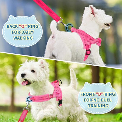 Lukovee No Pull Dog Harness and Leash Set, Soft Padded Small Dog Harness, Neck & Chest Adjustable Reflective Vest Puppy Harness with 4ft Lightweight Anti-Twist Dog Leash for Small Dogs (XXS, Pink)