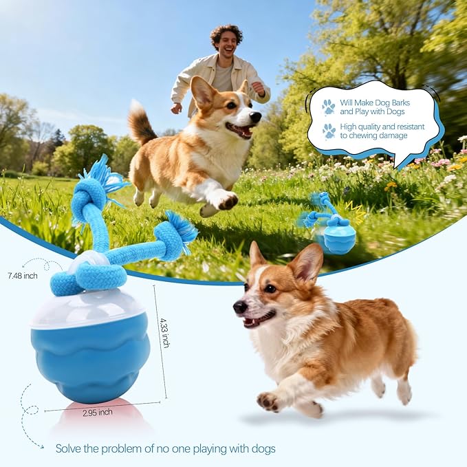 Goosheep 2026 New Interactive Dog Toys, Automatic Moving Dog Ball for Small/Medium/Large Dogs, Interactive Smart Rolling Dogs Toy Ball with Light Up to Keep Them Busy(Blue)