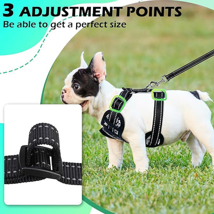 EXPAWLORER Dog Tuxedo Harness, Adjustable No Pull Pet Vest Harness with Leash Wedding Suit Attire with Bow Tie, Soft Padded Step-in Party Outfit Costume for Puppy Small Medium Dogs, Blue M