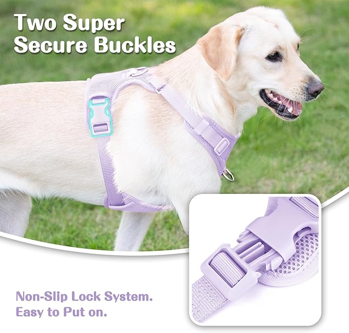 No Pull Dog Harness for Small Medium Large Dogs - Adjustable 2 Layer Mesh Dog Vest with Dual Clip, Escape Proof, Quick Release, Lightweight Breathable Mesh for Walking Hiking (Light Purple,XS)