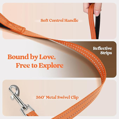 rabbitgoo Dog Harness Small Medium Sized and Leash Set, Step in Soft Light Puppy Vest, Breathable Mesh Pet Harness, Reflective for Safe Easy Walking, Orange XL