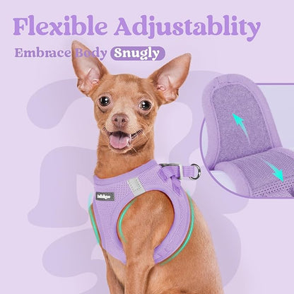 rabbitgoo Small Dog Harness, Step-in Soft Mesh Puppy Vest with Safety Buckle, Breathable Reflective Pet Harness for Small Sized Dogs, Light Purple XS