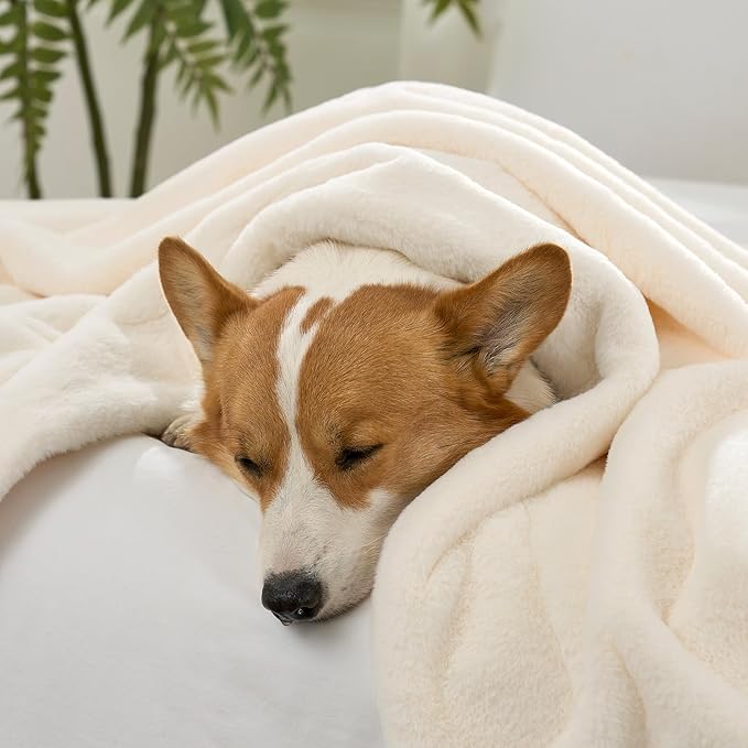 COZY KISS Waterproof Pet Blanket, Ultra Soft Luxury Faux Fur Throw Blanket for Couch, Cozy Warm Plush Blanket for Sofa Bedroom Living Room, Liquid Pee Proof for Large Dog or Cat, 40x60 inch, Cream