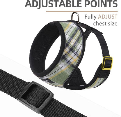 PUPTECK Soft Mesh Dog Harness and Leash Set Pet Puppy Cat Comfort Padded Vest No Pull Harnesses, Green/Yellow, S