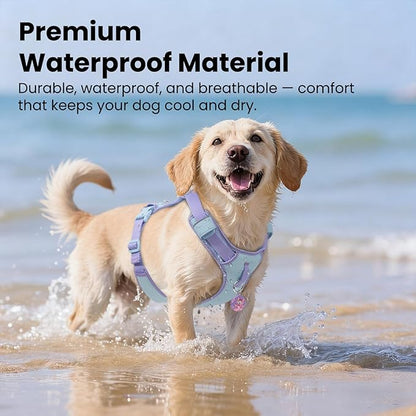 No Pull Dog Harness for Small Dogs & Puppies, Lightweight Escape Proof Adjustable Dog Harness with Pocket, Front & Back Clip, Reflective Soft Vest with ID Tag, for Running Walking, Blue