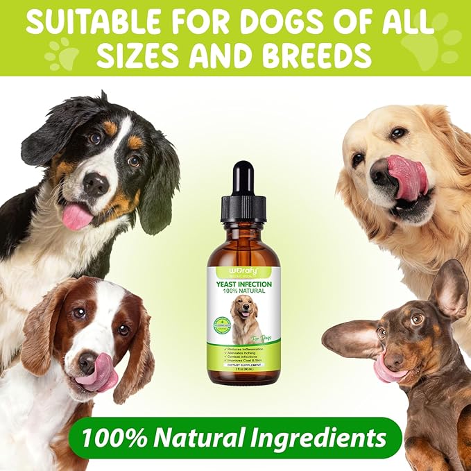 Yeast Infection Treatment for Dogs, Natural Yeast Treatment for Dog Ear Infection & Allergy Relief, Itchy Skin Relief, Skin & Coat Support, Dog Herbal Supplement - Dogs Ear Care & Immune Support, 60ml