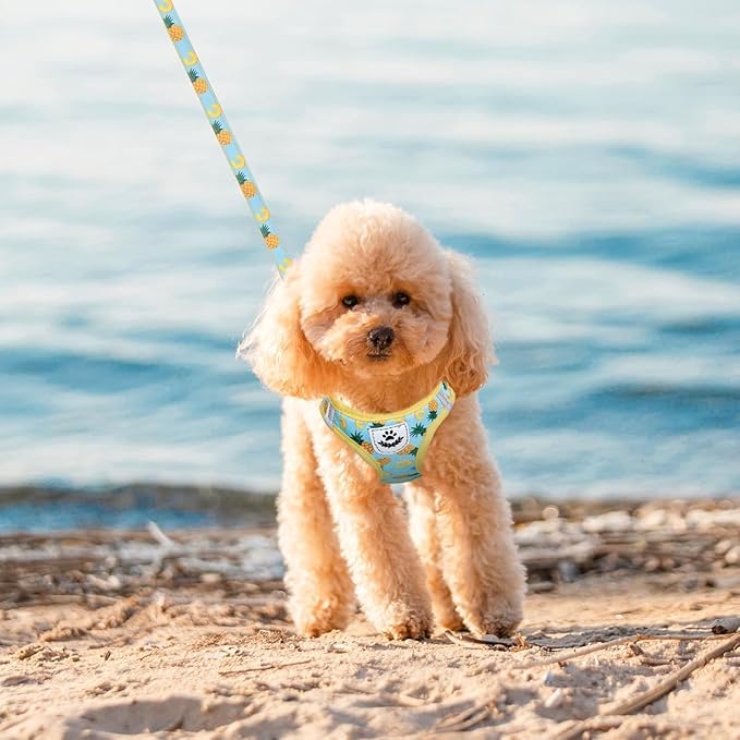 EXPAWLORER Small Dog Harness and Leash Set - Cute Puppy Harness Leash Dog Collar with AirTag Holder Silicone Case, Soft Padded Step in Pet Vest Reflective for Outdoor Walking, Pineapple XXS