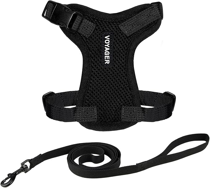 Voyager Escape-Proof Step-in Lock Cat Harness & 5ft Neoprene-Handle Leash Set All-Weather Mesh with Reflective Stitching for Small to Large Cats by Best Pet Supplies, Black, XXXS