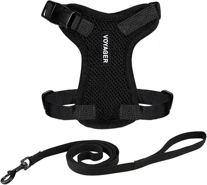 Voyager Escape-Proof Step-in Lock Cat Harness & 5ft Neoprene-Handle Leash Set All-Weather Mesh with Reflective Stitching for Small to Large Cats by Best Pet Supplies, Black, XXXS