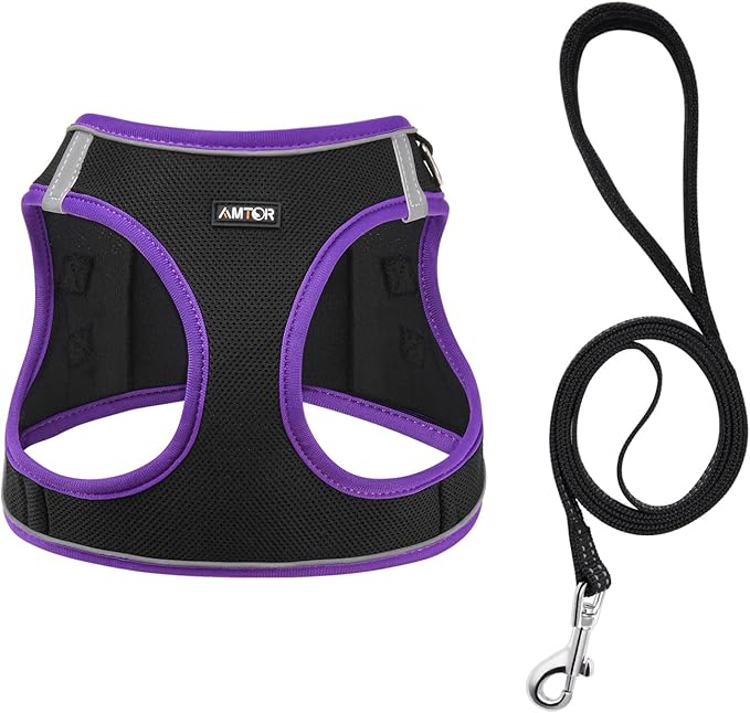 AMTOR Small Dog Harness with Leash Set, No Escape Easy Walk Puppy Harnesses for Training Walking, Step-in Reflective Soft Dogs Vest for XS S Medium Extra-Small Large Sized Dog(XL,Black/Purple)