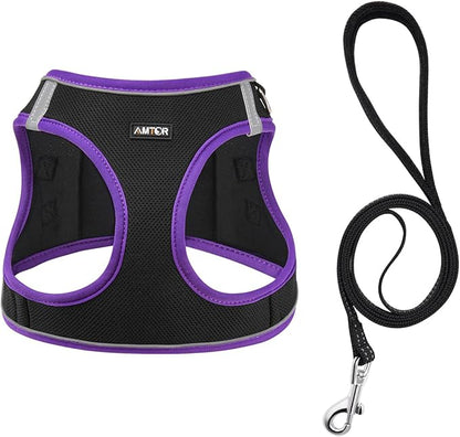AMTOR Small Dog Harness with Leash Set, No Escape Easy Walk Puppy Harnesses for Training Walking, Step-in Reflective Soft Dogs Vest for XS S Medium Extra-Small Large Sized Dog(M,Black/Purple)