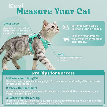 rabbitgoo Cat Harness and Leash, Escape Proof Vest with 3 Adjustable Buckles, Soft Comfortable Kitten Harness, Easy to Wear, Reflective for Safe Outdoor Walking, XS, Green