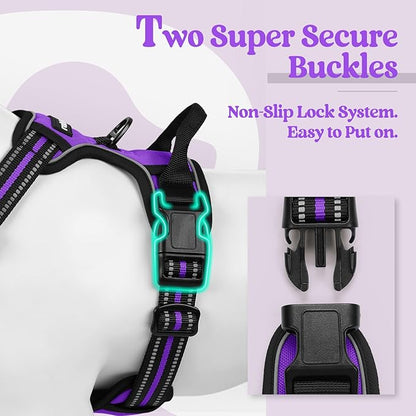 rabbitgoo Dog Harness No Pull with 2 Leash Clips, Adjustable Soft Padded, Reflective Oxford No Choke Pet Vest with Easy Control Handle for Small Dogs, Purple, S