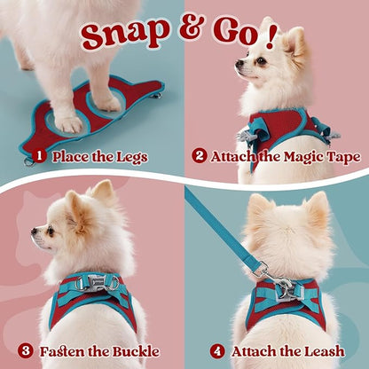 rabbitgoo Dog Harness Small Sized and Leash Set, Step-in Breathable Pet Harness, Soft Walking Reflective Puppy Vest for Small Dogs, Red & Teal, L