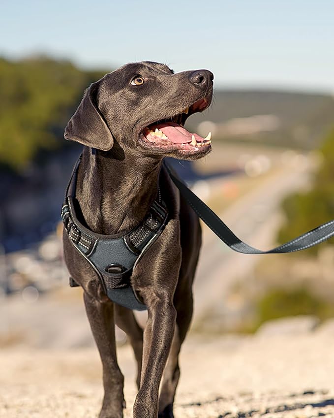 Joytale No Pull Dog Harness Medium Sized Dog, Reflective Pet Vest with Front Clip, Adjustable Soft Padded Harnesses with Easy Control Handle for Training and Walking, Gray, M