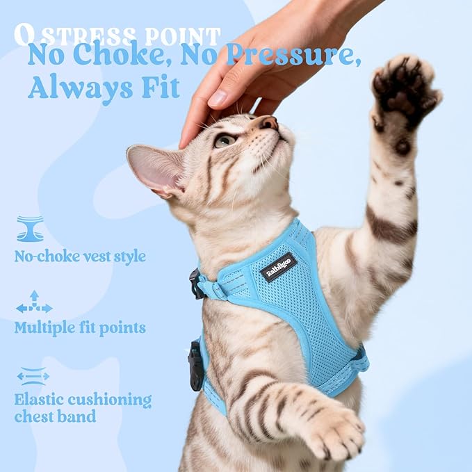 rabbitgoo Cat Harness and Leash, Escape Proof Vest with 3 Adjustable Buckles, Soft Comfortable Kitten Harness, Easy to Wear, Reflective for Safe Outdoor Walking, XS, Sky Blue