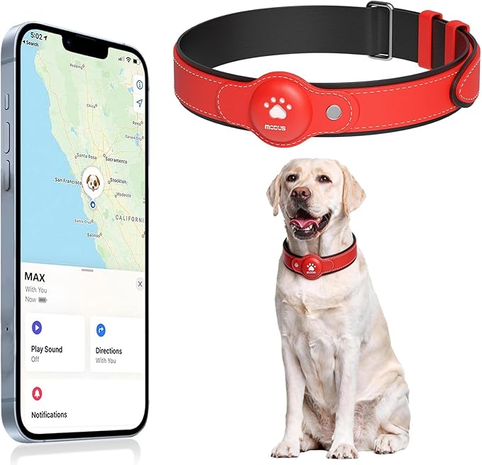 GPS Tracker for Dogs, 2 in 1 Smart Pet Collar (Only iOS), No Monthly Fee Waterproof Dog Collar with Real-time Tracking, Anti-Lost, 365-Day Long Battery GPS Tracker for All Sized Dogs(Locator Included)