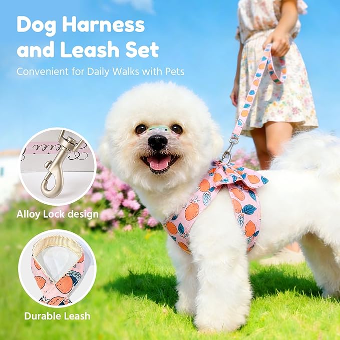 BAEJMJK Dog Harness and Leash Set with Bow Knot No Pull Pet Floral Harness with D-Ring Soft Mesh Dog Harness Vest Set Escape Proof Princess Puppy Harness for Small Girl Dogs Cats（Orange M）