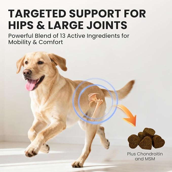 Dog Hip and Joint Supplement with Glucosamine & Chondroitin - Supports Mobility & Pain Relief for Senior & Large Dogs - 180 Soft Chews
