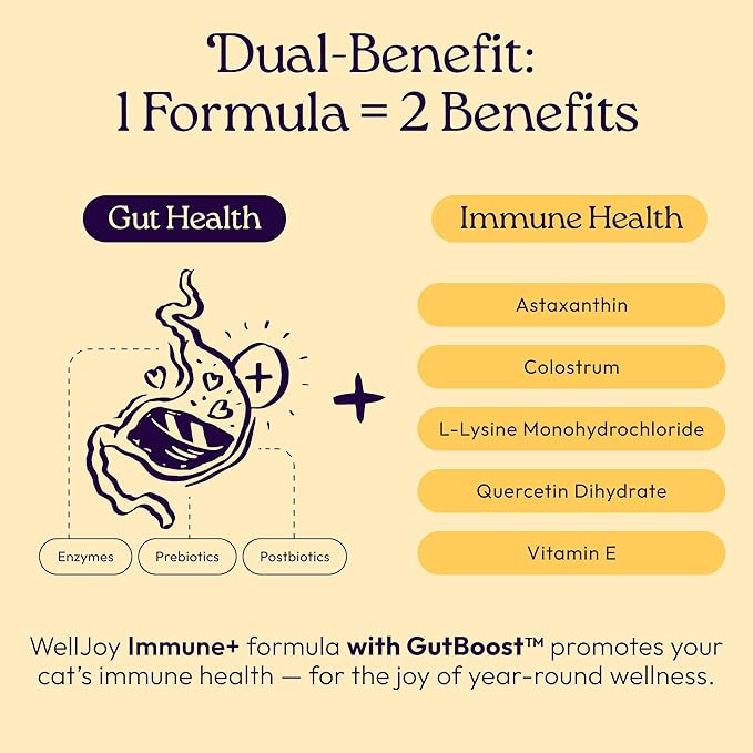 New! WellJoy Cat Supplement Immune+ GutBoost | Cat Health Supplement | with Lysine | Enhances Immune Response | Dual-Benefit Formula | Vet Formulated | Made in USA | Chicken Flavor | 90 Soft Chews