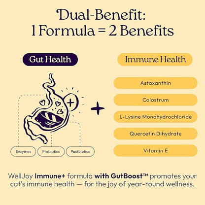 New! WellJoy Cat Supplement Immune+ GutBoost | Cat Health Supplement | with Lysine | Enhances Immune Response | Dual-Benefit Formula | Vet Formulated | Made in USA | Chicken Flavor | 90 Soft Chews