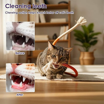 6Pcs Cat Chew Rope Toy Pet Chew Toys Interactive Cat Nip Kicker Toy Bent Cats Rope Toys Bite-Proof Playthings Kitten ChewRopes Pet Supplies for All Breeds Cats Teeth Cleaning Stress Relief