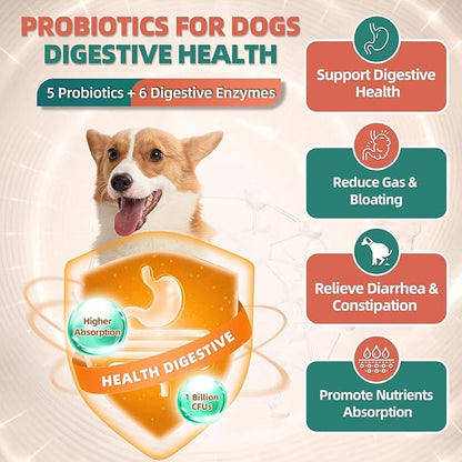 Dog Multivitamin with Glucosamine, Omega 3, Minerals, Probiotics and Enzymes, Dog Vitamins and Supplements for Joint, Skin & Coat Care, Digestive and Immune Health, Chicken Flavor - 120 Chews