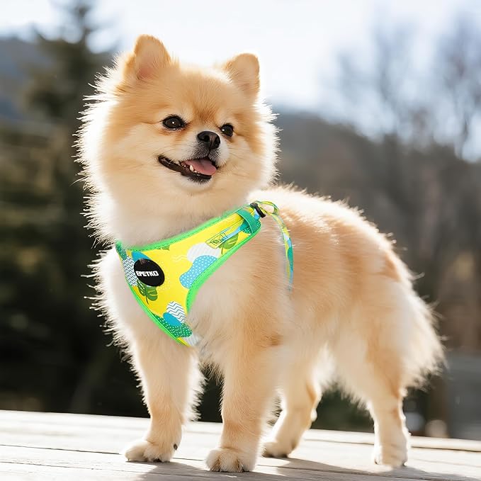 Small Dog Harness and Leash Set of 6, No Pull Soft Lightweight Mesh Puppy Harness， Adjustable Cute Floral Pattern Pet Harness for Small Medium Dogs (Green Leaf, XS)