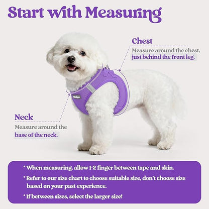 rabbitgoo Dog Harness Small Sized and Leash Set, Step in Soft Light Puppy Vest, Breathable Mesh Pet Harness, Reflective for Outdoor Safe Walking, Purple XXXS
