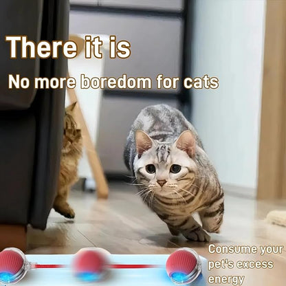 Interactive Cat Toys for Indoor Cats, Agility Move Cat Balls,Motion Activated Cat Balls, Cat Toys for Bored Indoor Cats（Green）