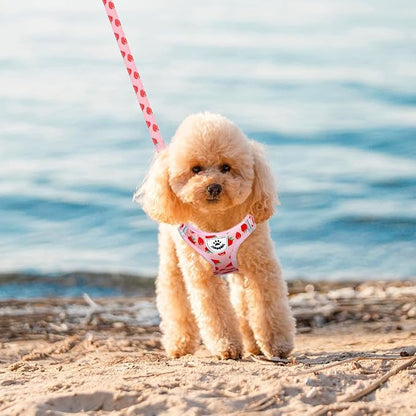 EXPAWLORER Small Dog Harness and Leash Set - Cute Puppy Harness Leash Dog Collar with AirTag Holder Silicone Case, Soft Padded Step in Pet Vest Reflective for Outdoor Walking, Strawberry XXS