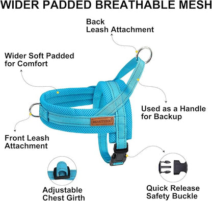 BEAUTYZOO Dog Harness for Small Dogs, No Pull Dog Harness and Leash Set, Soft Escape Proof Puppy Vest Harness with Handle, Reflective Lightweight Step in Harness for Girl Boy Dogs, Blue XS