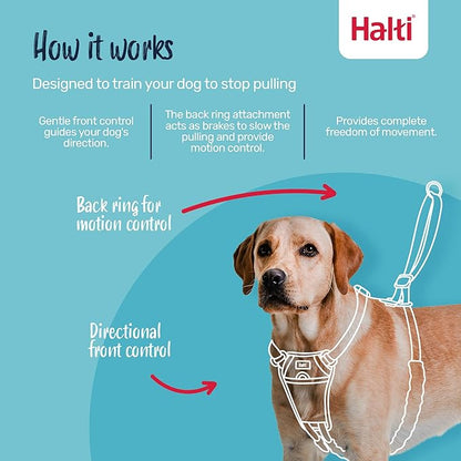 Halti No Pull Harness - Stop Your Dog Pulling on The Leash. Adjustable, Lightweight and Easy to Use. Reflective Dog Training Harness for Small Dogs (Size S, Deep Walnut)