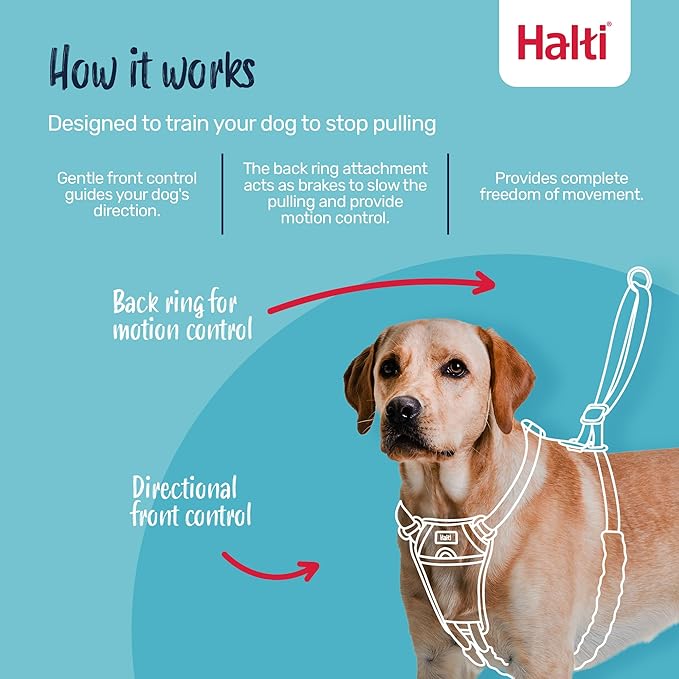 Halti No Pull Harness - Stop Your Dog Pulling on The Leash. Adjustable, Lightweight and Easy to Use. Reflective Dog Training Harness for Toy and Small Dogs (Size XS, Forest Green)